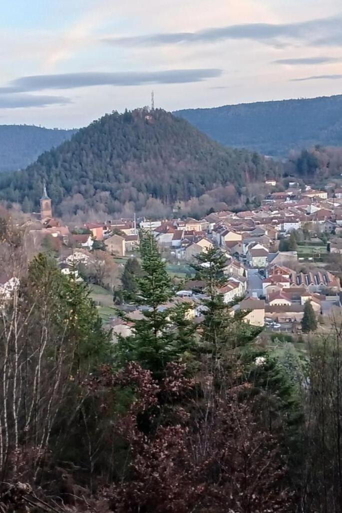 Charmant Gite, Au Calme, Avec Vue Imprenable Sur La Nature Environnante Deycimont Bagian luar foto