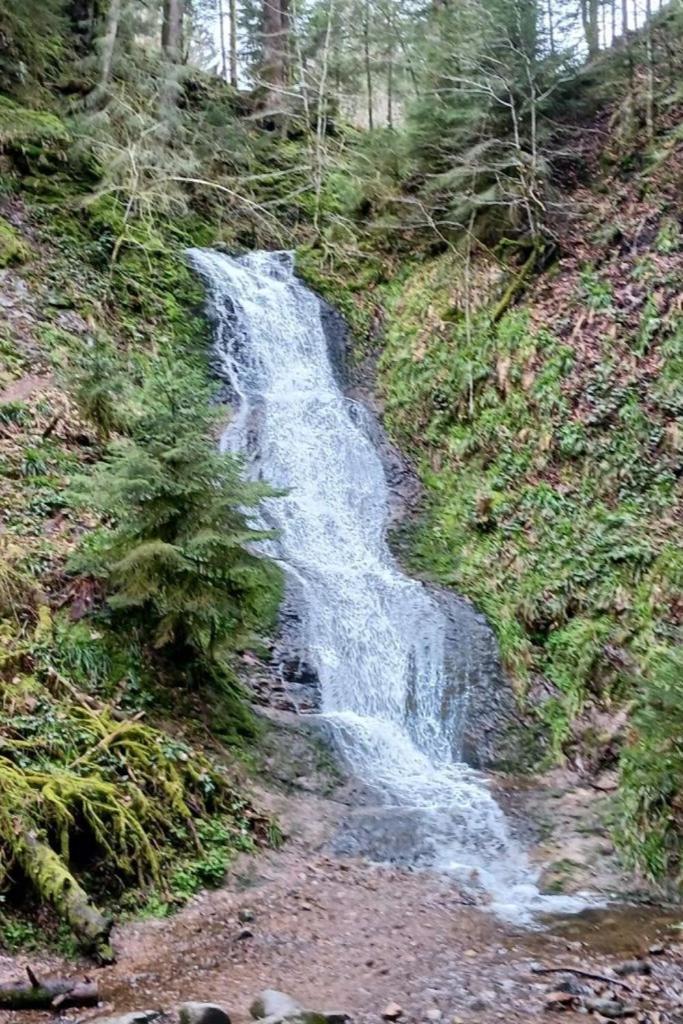 Charmant Gite, Au Calme, Avec Vue Imprenable Sur La Nature Environnante Deycimont Bagian luar foto