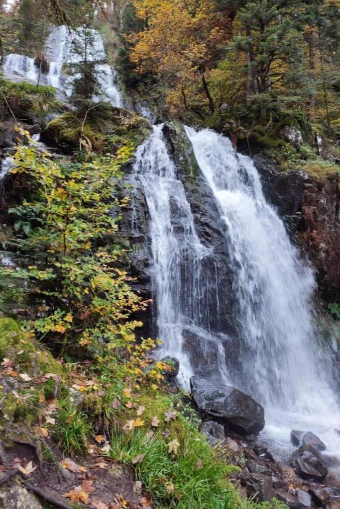 Charmant Gite, Au Calme, Avec Vue Imprenable Sur La Nature Environnante Deycimont Bagian luar foto