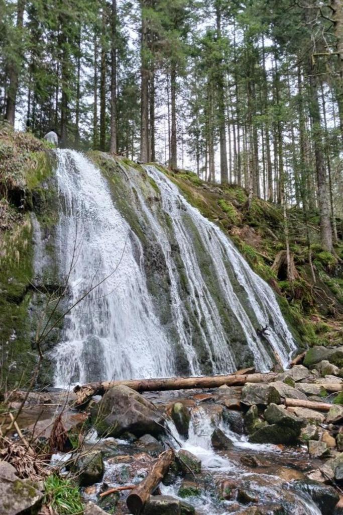 Charmant Gite, Au Calme, Avec Vue Imprenable Sur La Nature Environnante Deycimont Bagian luar foto