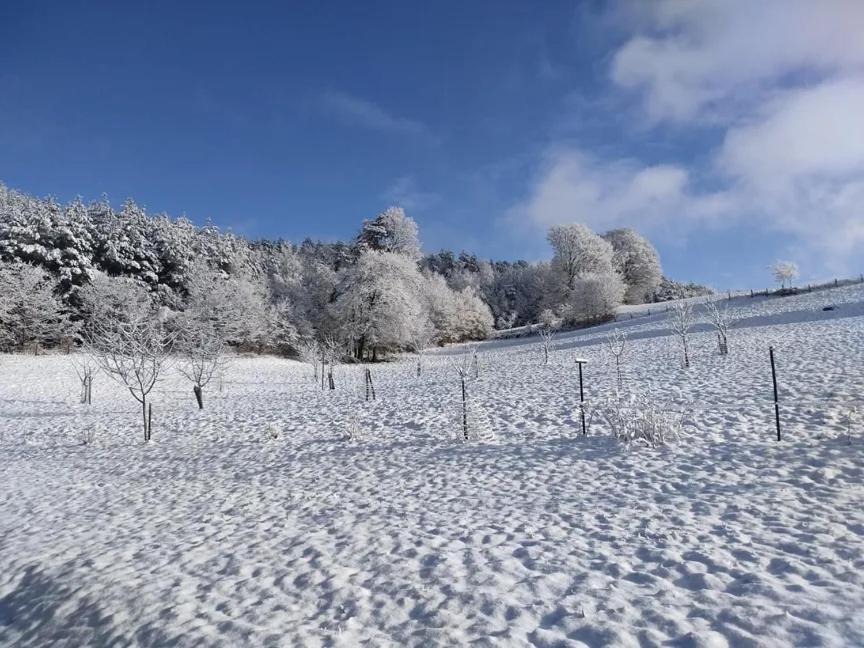 Charmant Gite, Au Calme, Avec Vue Imprenable Sur La Nature Environnante Deycimont Bagian luar foto